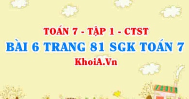 Bài 6 trang 81 SGK Toán 7 tập 1 Chân trời sáng tạo